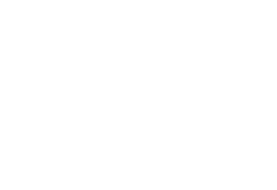 WYVERN logo